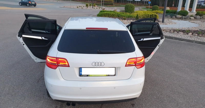 Audi A3 cena 29600 przebieg: 212411, rok produkcji 2008 z Białystok małe 254